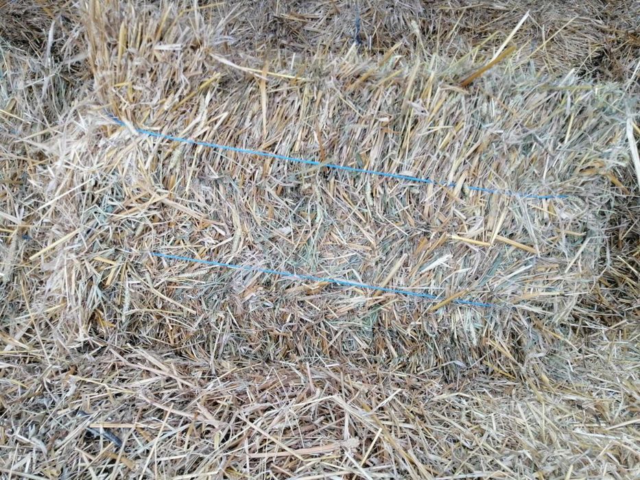 Vand baloti de lucerna si de paie