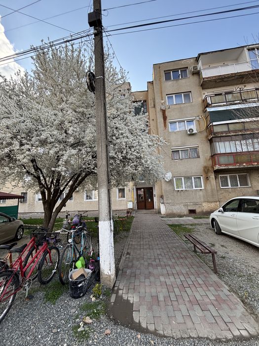 Aparatement cu o cameră chirie