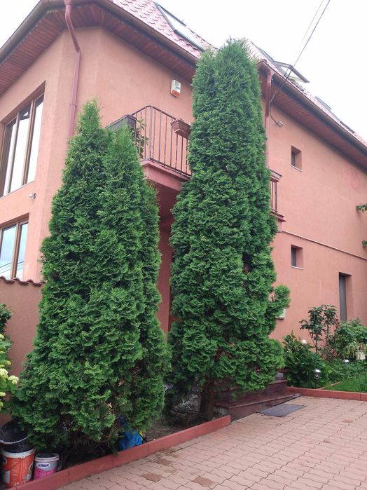 Vila de vanzare in Orastie Jud. Hunedoara