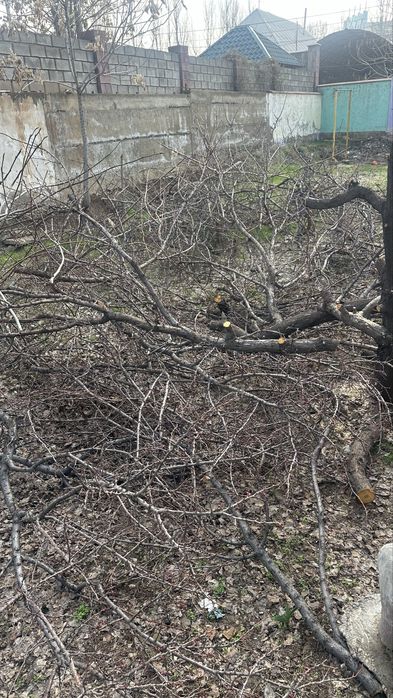 Дрова бесплатно. Отын