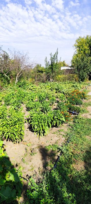 Продам дачу на кривом озере ТЭЦ 3,48А