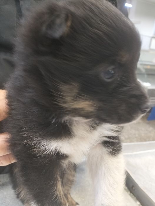 Мальчик - красавчик в добрые, надёжные руки