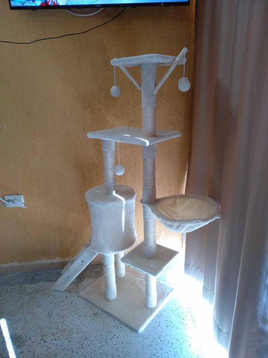 Котешка катерушка /нова/