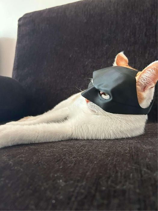 Маска за котка Батман (BatCat)