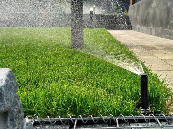 Автополив - газон