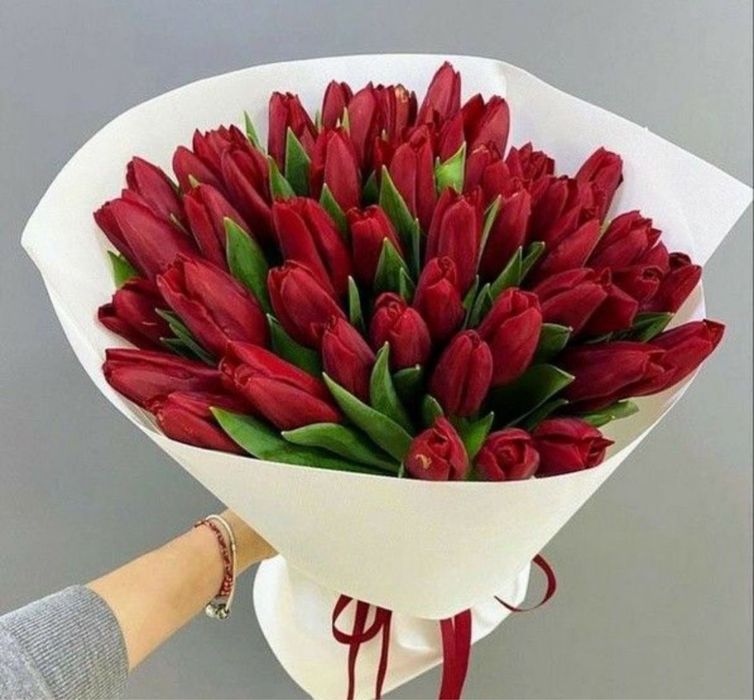 Тюльпаны оптом и в розницу