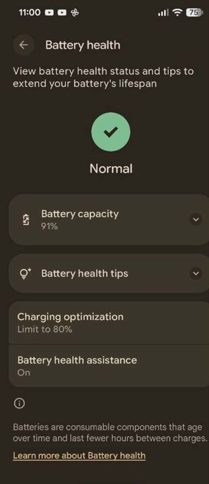 Google Pixel 9 128GB с още 6 м. гаранция