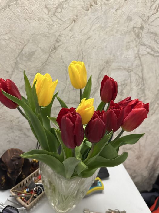 Продам свежие тюльпаны