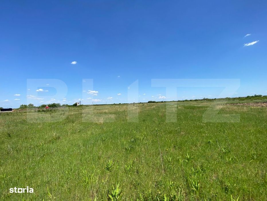 Teren intravilan Mosnita Noua  740mp Front 19m investitie zona  in dez