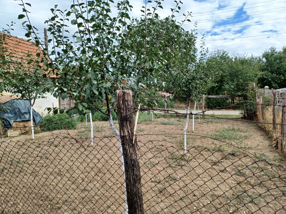 Casa + teren vanzare Silindru