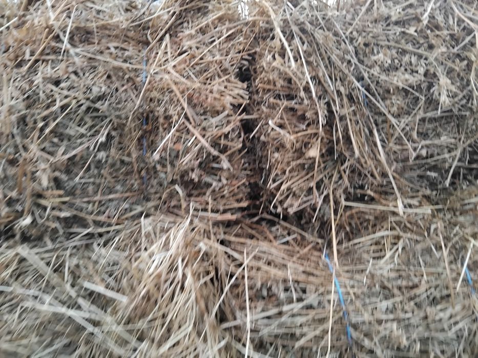 Baloti de fan cu lucernă