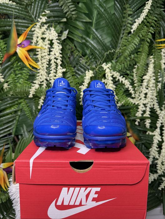 Nike Vapor Max Plus Blue