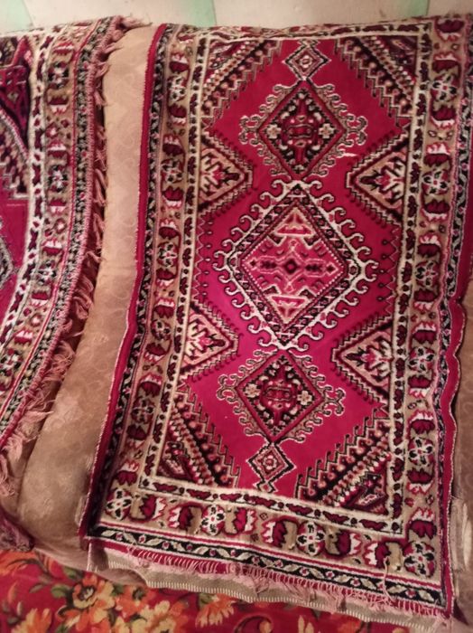 3 kun garantiyasi bor