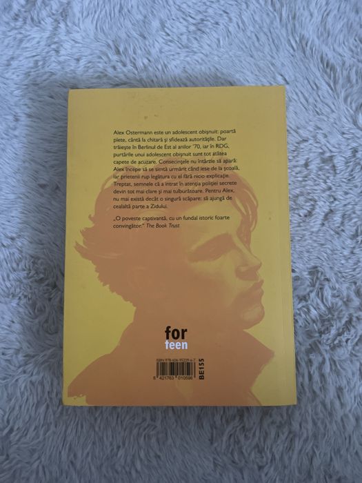 Sektion 20 by Paul Dowswell