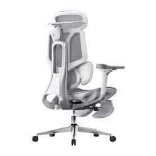 HBADA E3 Pro Ergonomic Chair