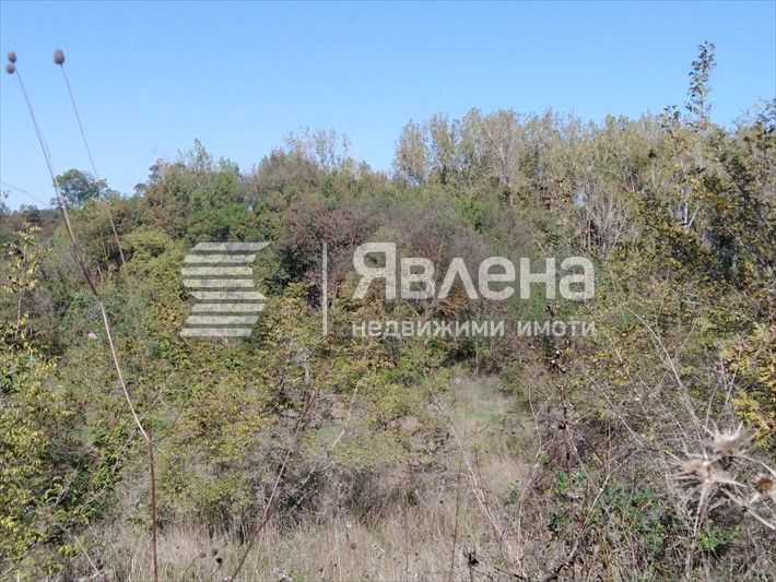 Продава се Земеделски имот в Царево -  кв.м за 30 €/дка - Снимка #1