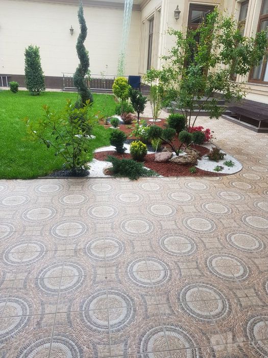lamshat. gazon qilamiz