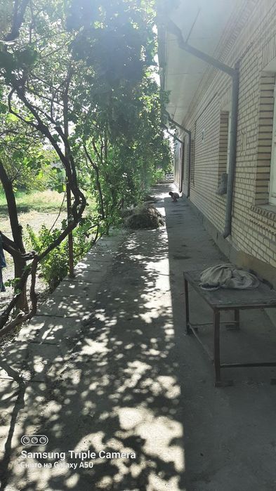 Участка Бухоро вил Шофиркон тумани махаллакози махалласида жойлашган