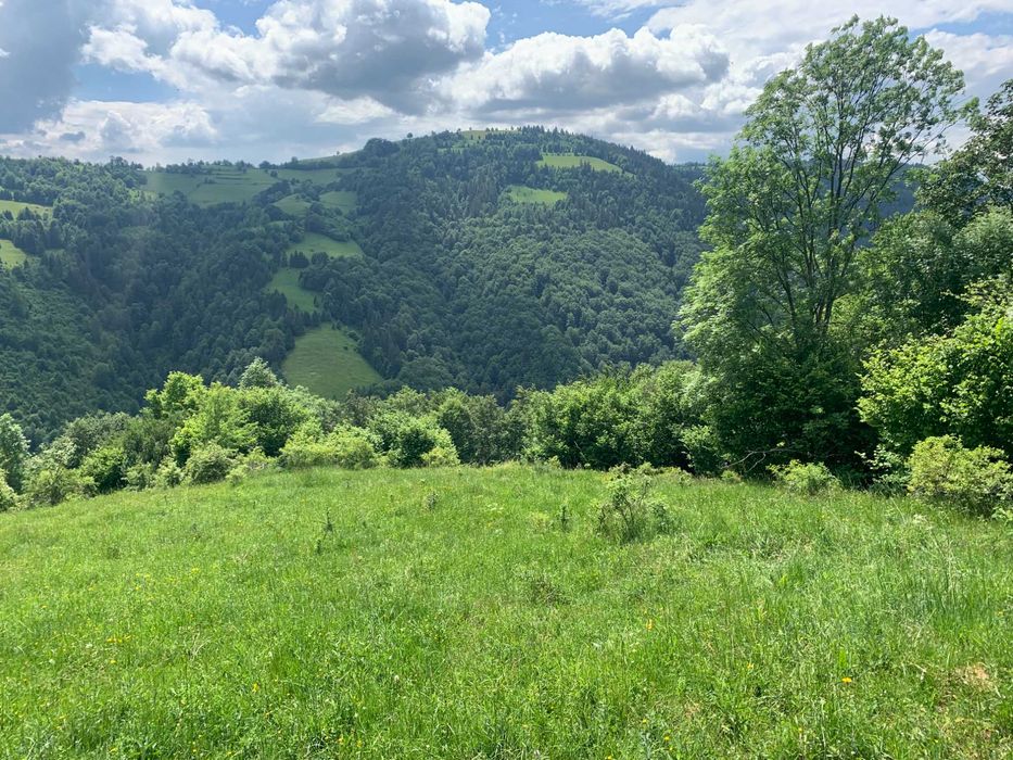 Teren 3.2 ha Apuseni – priveliște spectaculoasă, izolare totală, ideal cabană / retreat , posibilitate rate,contract notarial