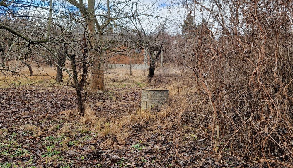 Продава се Парцел в с. Горна Козница, Област Кюстендил - 1485 кв.м за 5 €/кв.м - Снимка #2