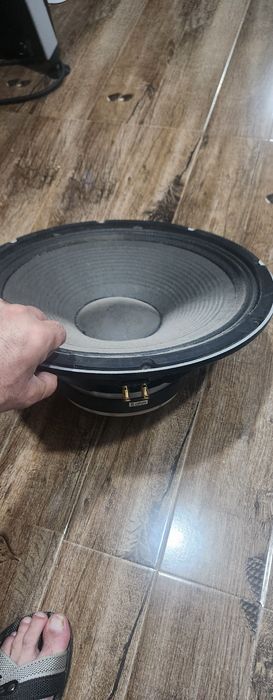 Doua difuzoare 32cm si doua goarne Piezo