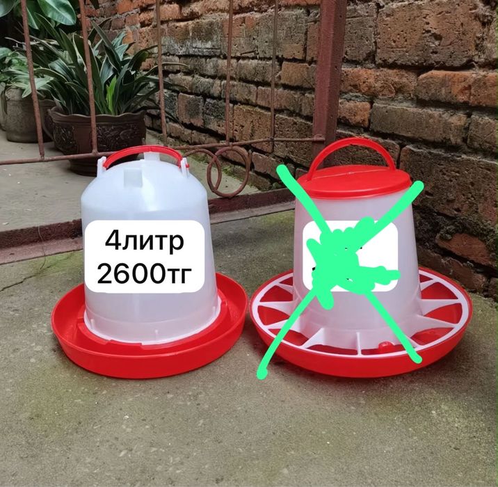 Ұй құстарына керек заттар
