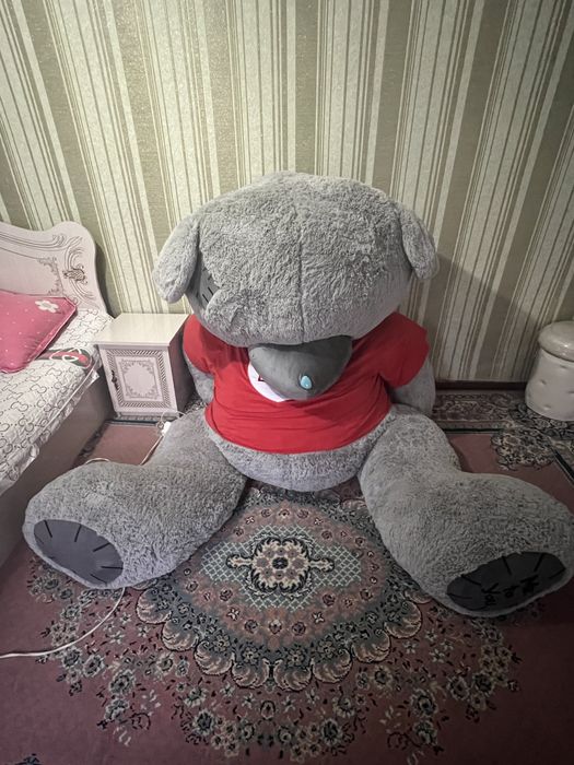 Энг коттаси Тедди айик