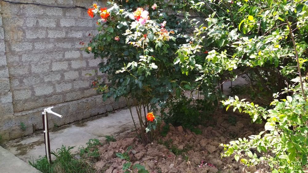 Ер сотилади ( 8 сотих)