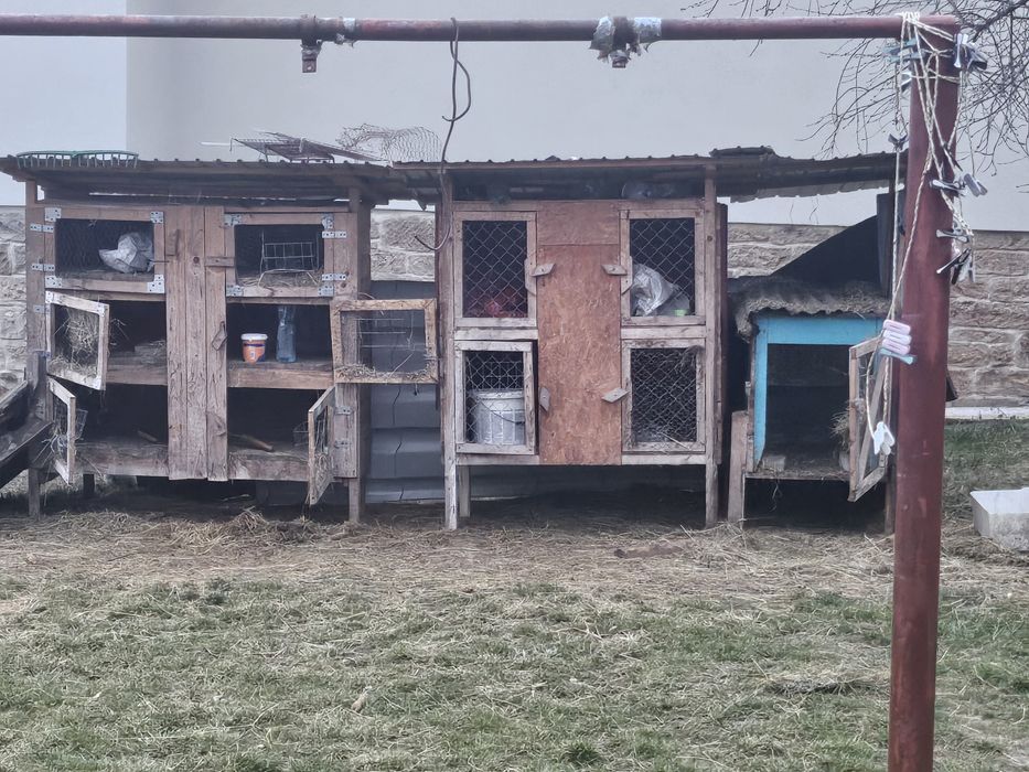 Vând cuști  de iepuri  una cu 4 si alta cu 6 locuri