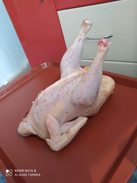 Куры Суповые Домашние