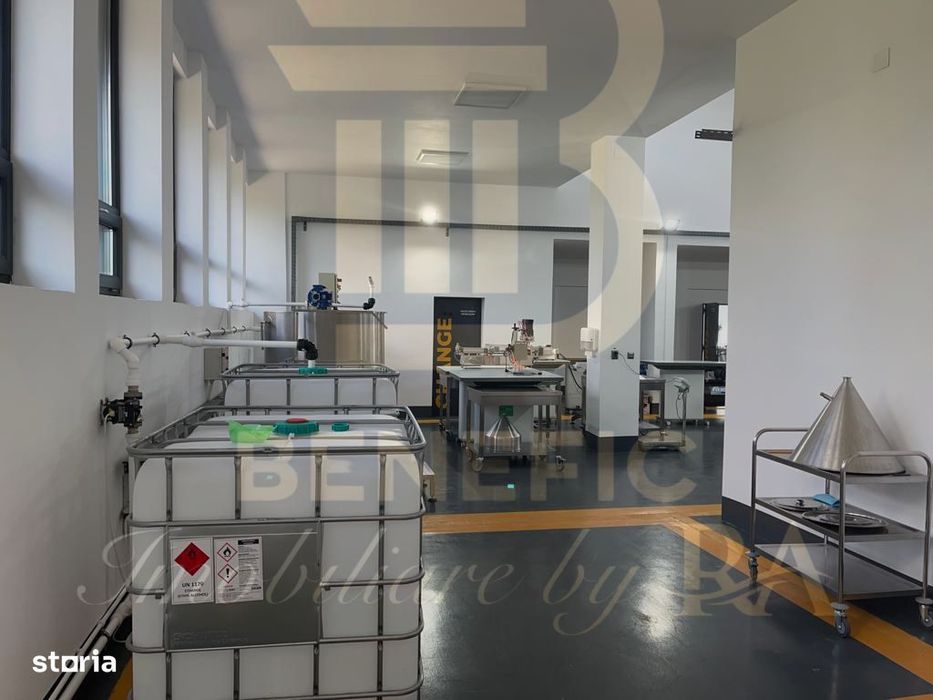 Vanzare Sediu Industrial Clasa A - Arva, Valea Calugareasca, Prahova