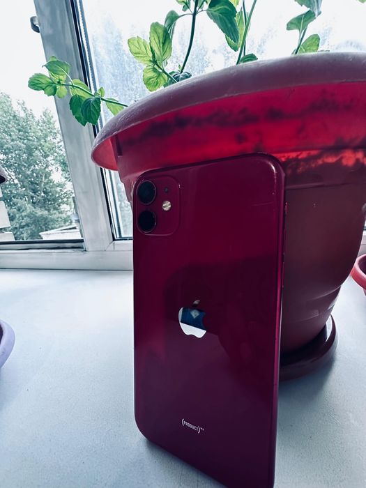 Iphone 11 оригинал