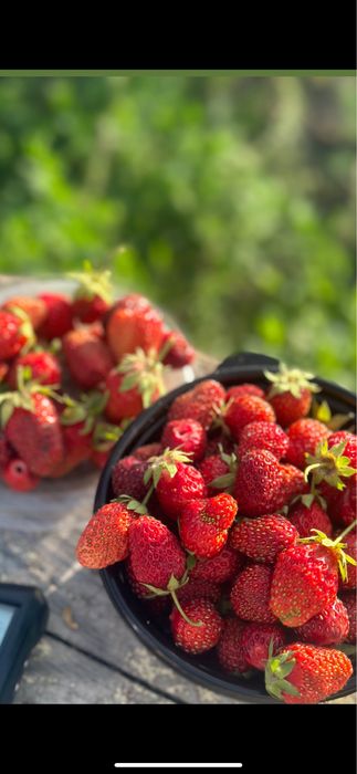 Продам дачу СО Ромашка