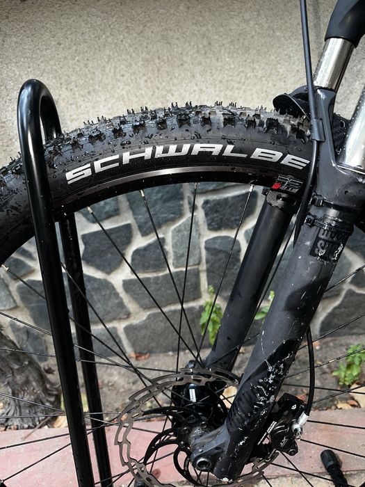 Canyon neuron 2017 AL 29