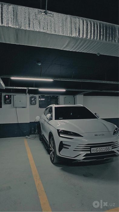Byd chempion 110 km