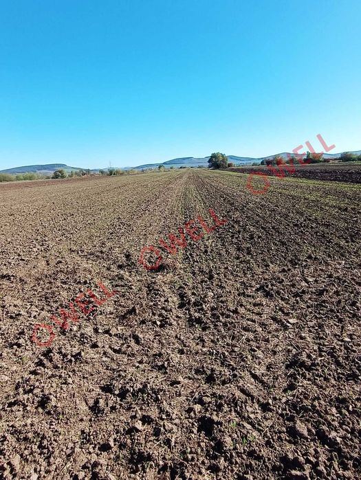 De vânzare terenuri extravilane, situate în Glodeni
