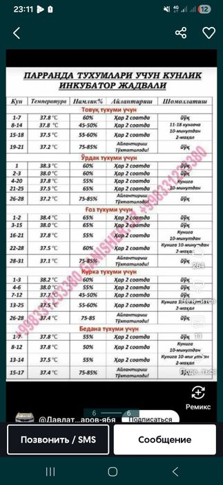 Инкубатор ясаб берамиз 12 х 220 волт