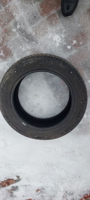 Жазғы дөңгелектер