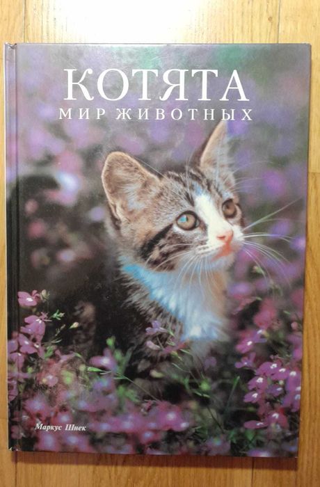 Котята Кошки Редкая отличные фото. Формат больше А4 Две книги за 8000