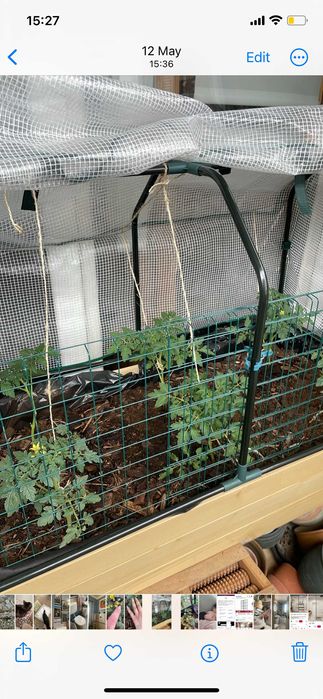 Vand sere pentru balcon