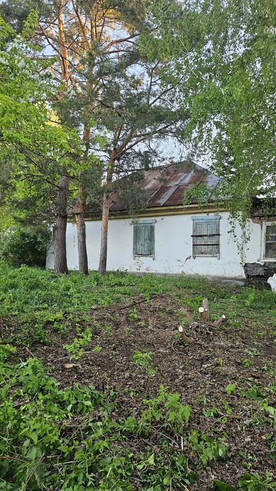 Продам дом в Планидовке