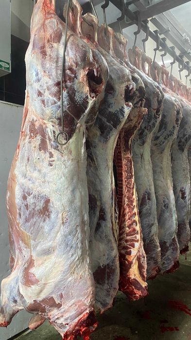 Мясо говядина тушами