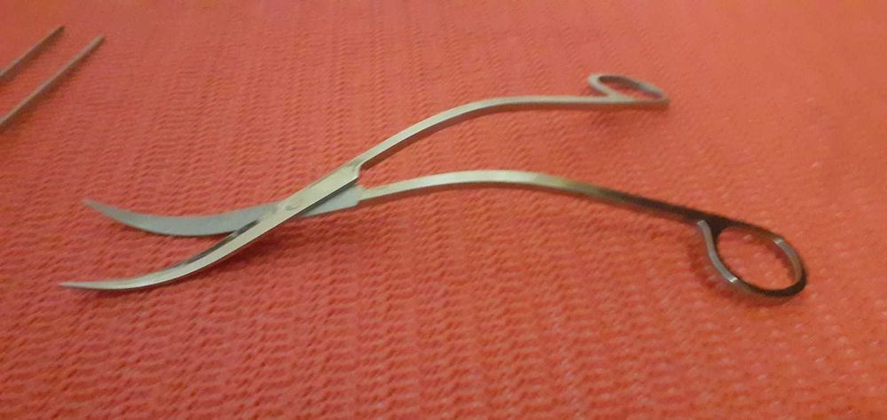 Foarfeca inox curbata pentru plante acvariu