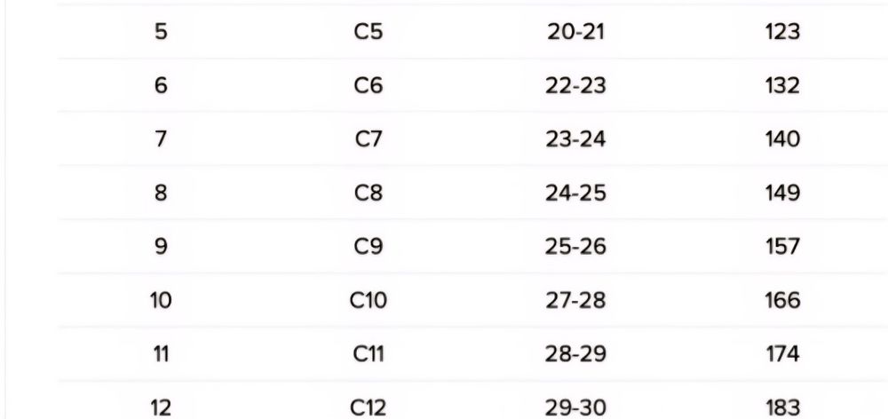 Papuci/tenesi crocs piele c10 sau 27-28