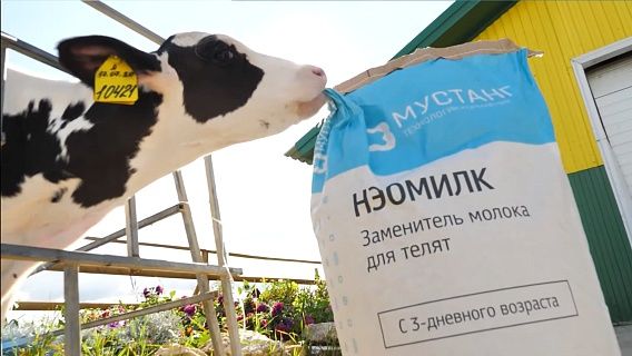 Премиксы для коров и быков