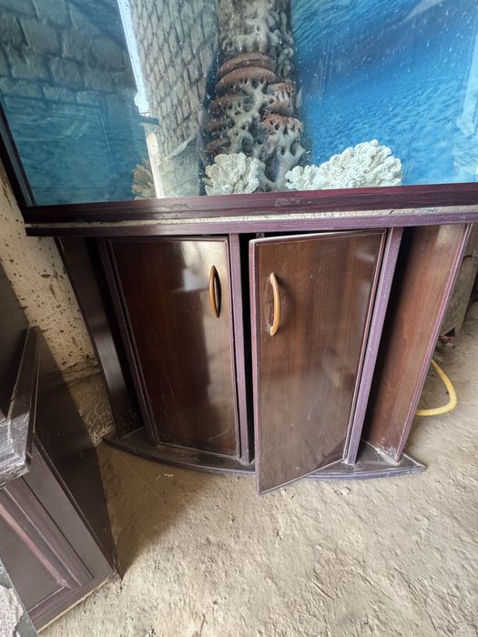 Akvarium sotladi hama narsasi bor kamplekt