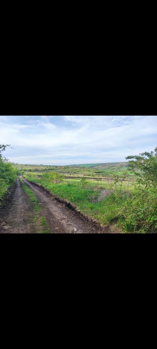 Teren extravilan Dealul Fânațelor