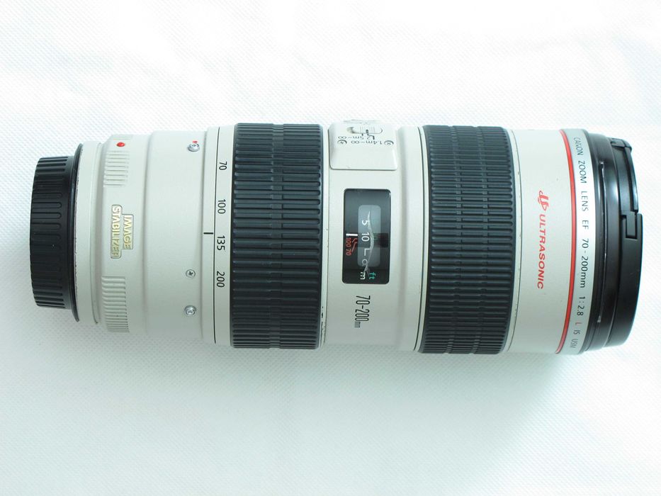 Canon 100mm f/2.8L Macro, 70-200mm f/2.8L IS, 135mm f/2L