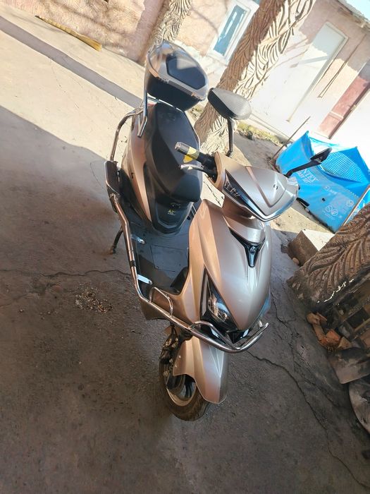 Skuter elektroni