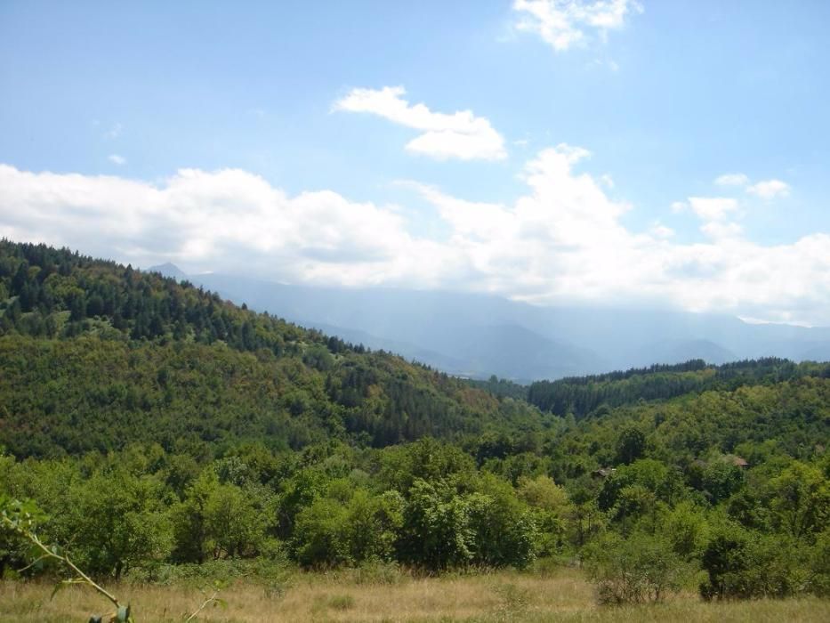 Продава се Парцел в Априлци - 6000 кв.м за 4 €/кв.м - Снимка #3